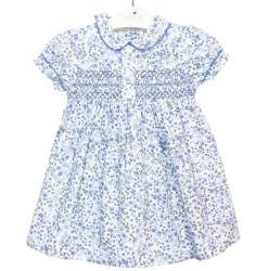 Elisa Dress in Blue Alma print