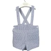 Short with braces. Navy blue stripes